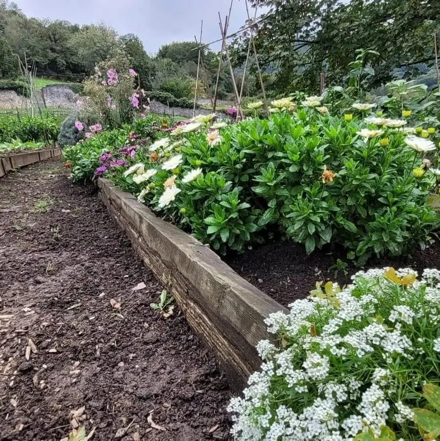 Ejemplo de proyecto de agro jardineria orgánica .